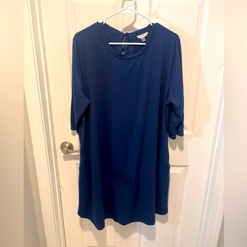 TERRA & SKY Blue Tunic Dress